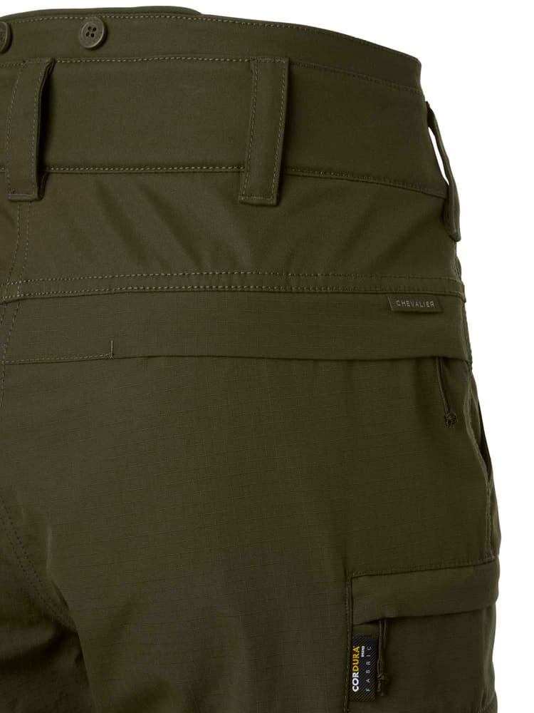 Cross Hybrid Pants Women Tobacco Green, view: 5