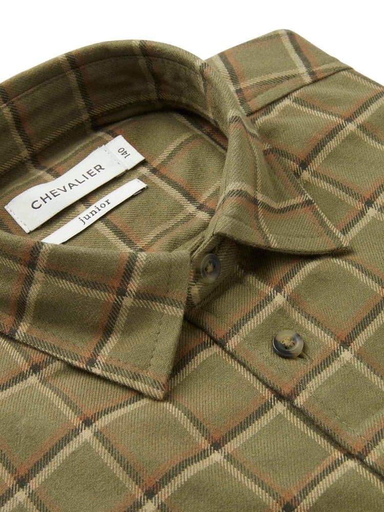 Ferret Flannel Shirt Junior Field Green Checked, view: 3